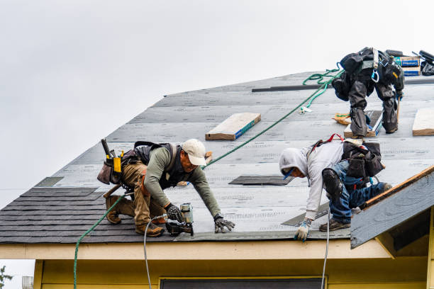 Professional Roofing technician working in Vida, OR